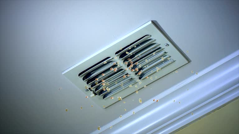 Best Best Air Duct Cleaning Near Me  in College Park, MD
